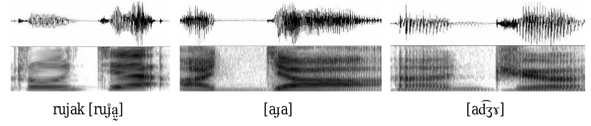 Suj Image Phonological realization of suj /j/ compared to /4/ and /d3/