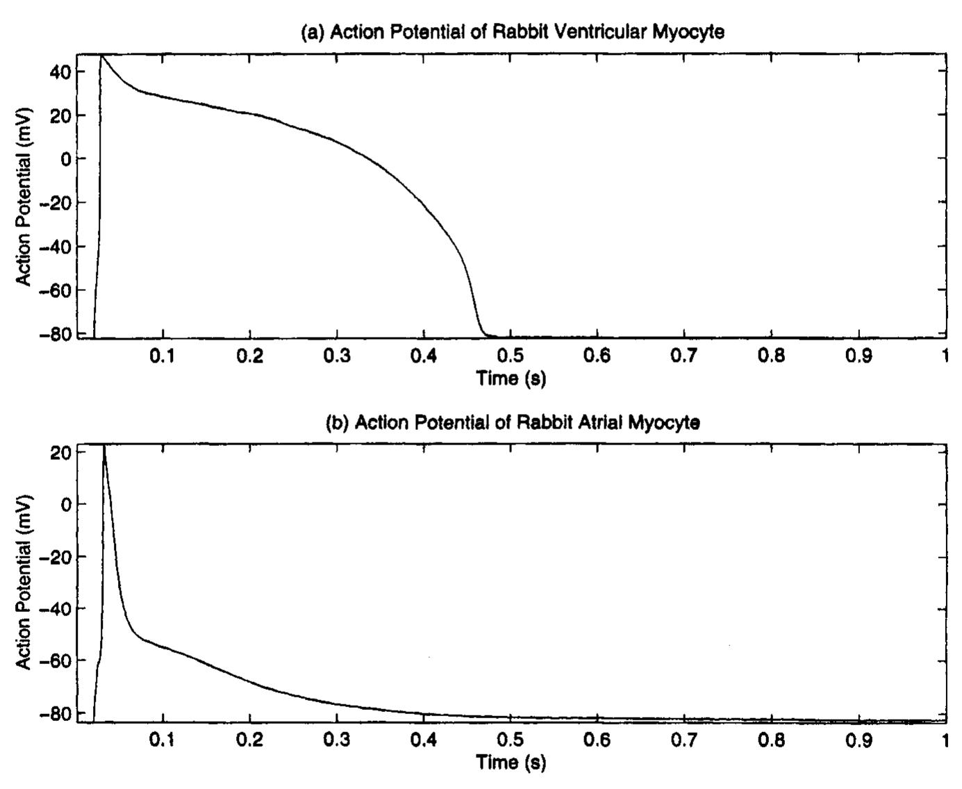 LIMIT OVER COLLECTION -RIVALS- 、スペシャルパック PDF) B 1 0 M ED I CAL SIGNAL ANALYSIS A Case-Study Approach