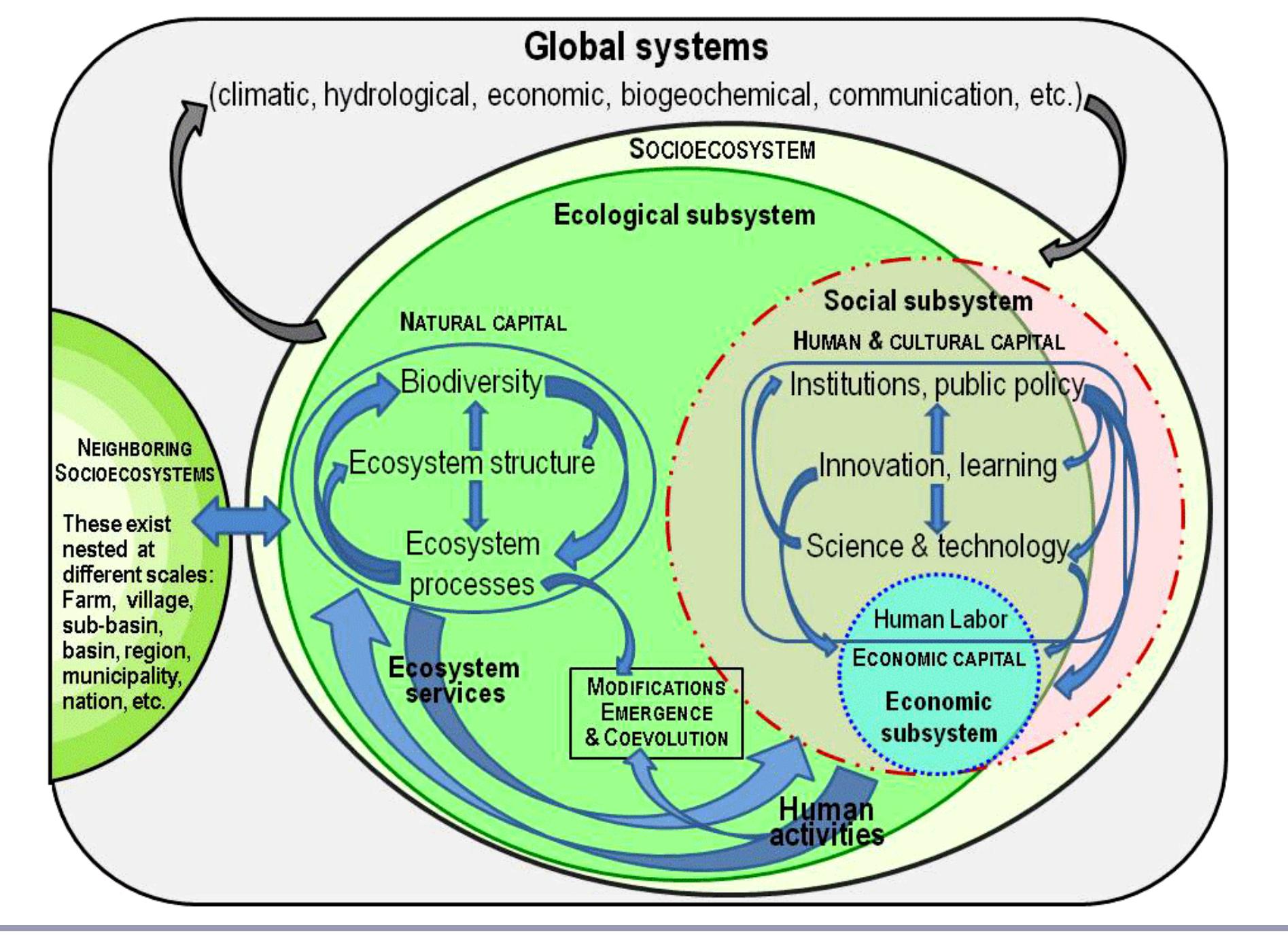 Schematic model of a socioecosystem: its structure,