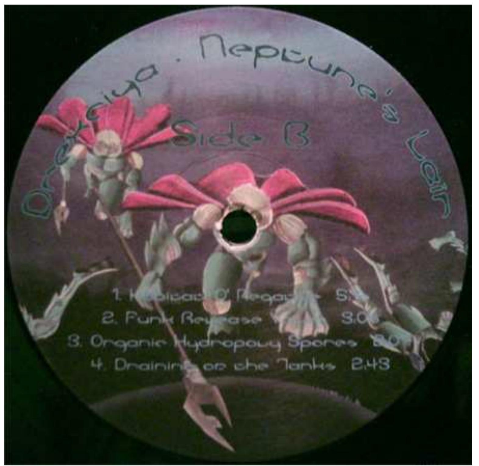 PDF) Inside 'Neptune's Lair': Drexciya, Dystopia and Afrofuturism