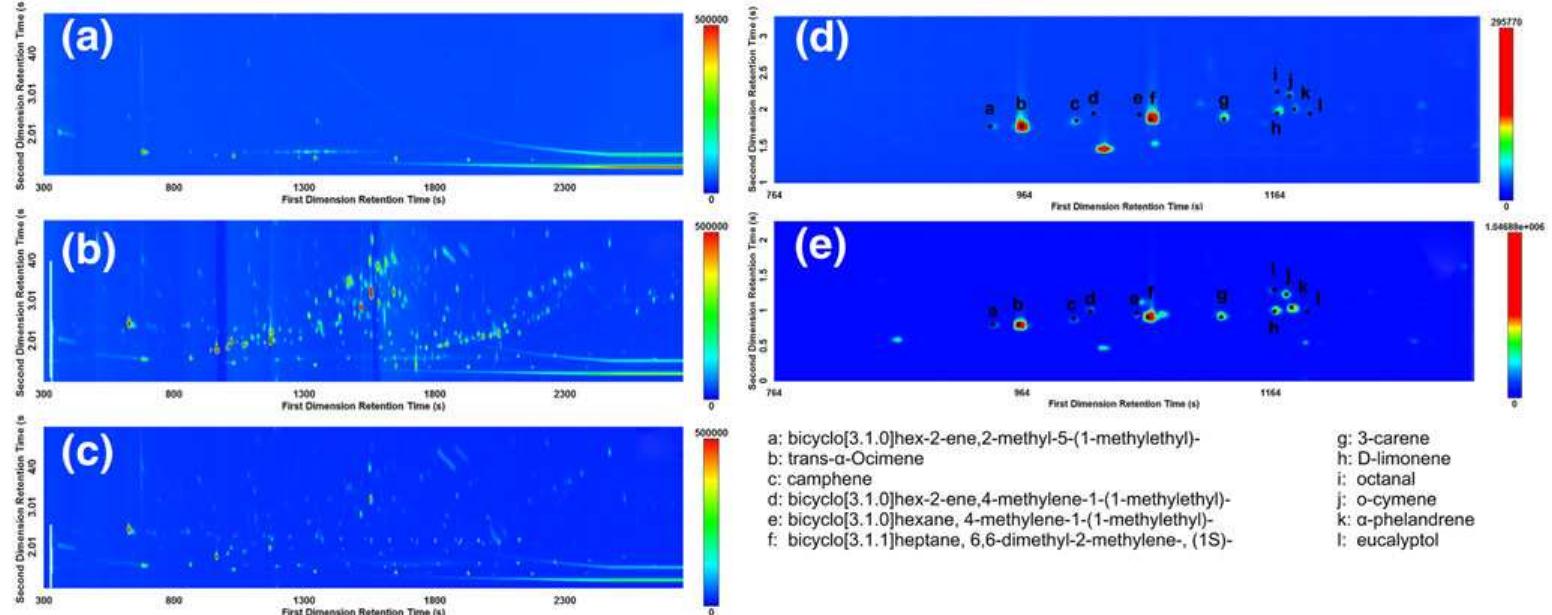Figure 3. A comparison of the total ion current (TIC) contour plots of (a) a blank vial, (b) a Pinus nigra fingerprint and (c) a Pinus nigra blind test sample (BT1), together with a comparison of the total ion current (TIC) contour plots between (d) in situ Picea abies and (e) a Picea abies fingerprint. [Colour figure can be viewed at wileyonlinelibrary.com]  The beeswax component within glue mixtures proved to be more challenging to identify than the glue component. Although seven of the 13 samples (53%) were correctly identified, five samples could not be interpreted, and two samples were assigned incorrect identifications. A success rate of 69% was obtained. Again, the presence or absence of beeswax could not be identified for the gums (B7, B8 and B11) due to the poor VOC release. Sample B9 (Larix decidua pure), a species unknown to the analysts as it was not included in the fingerprinting study, was wrongly interpreted as containing beeswax, which may be caused by the presence of waxy components in the Larix resin. By contrast, no beeswax could be identified for sample B12 (birch pitch mixed with beeswax), which was interpreted as pure birch pitch. This error is due to the extremely complex volatile signature of birch pitch, which complicates the separation process and masks the volatile signal of beeswax. 
