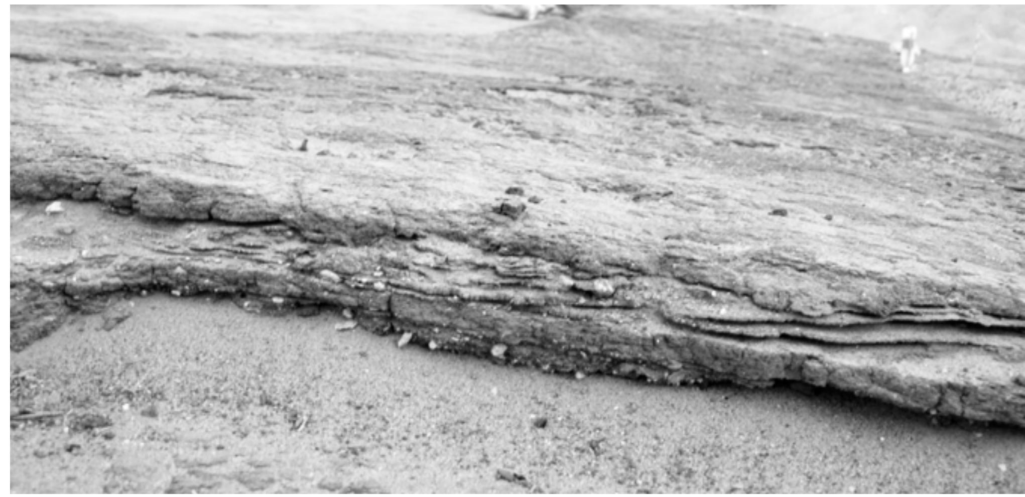 PDF) Giza Plateau Mapping Project Season 2009 Preliminary Report