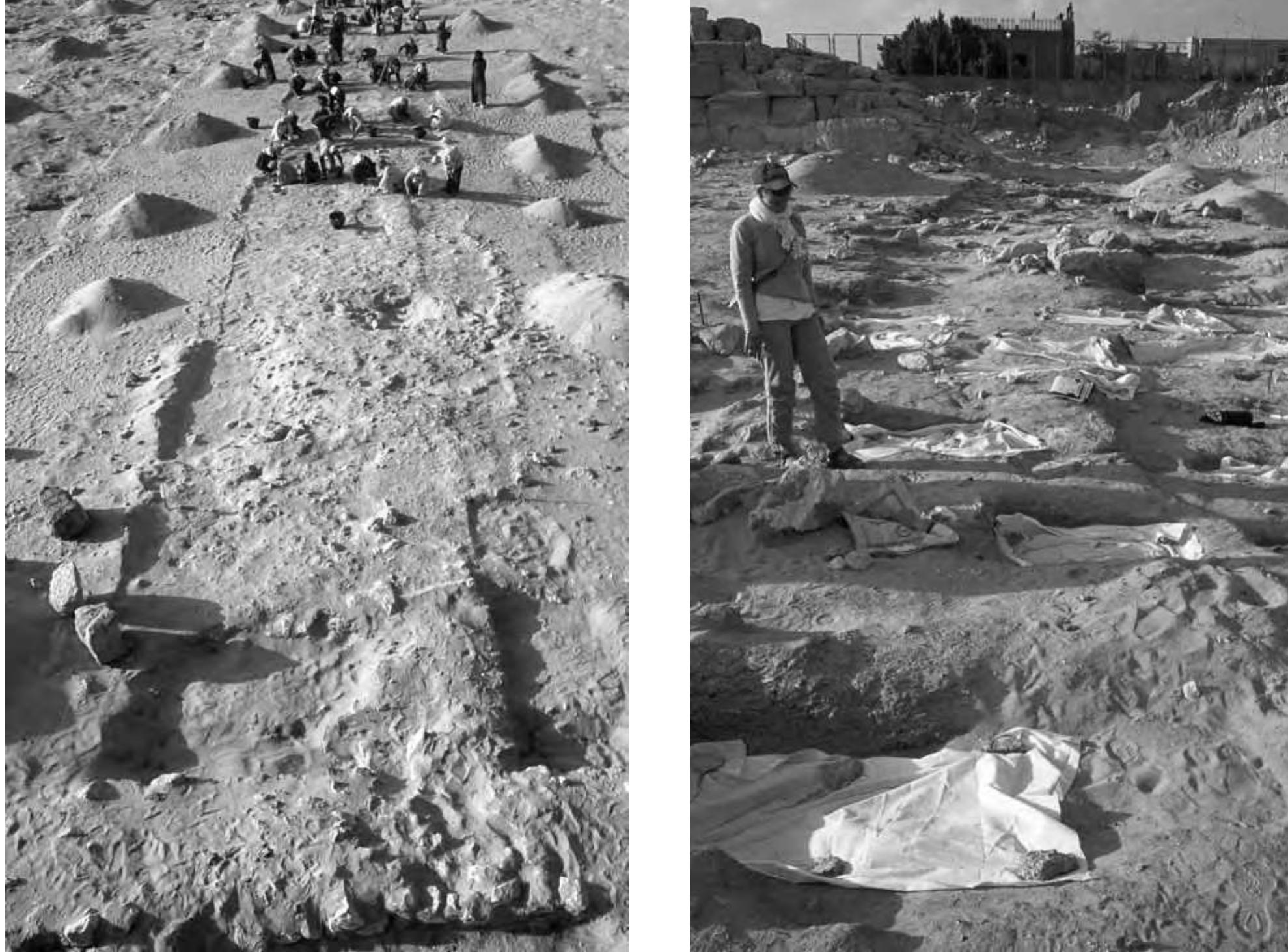 PDF) Giza Plateau Mapping Project Season 2009 Preliminary Report