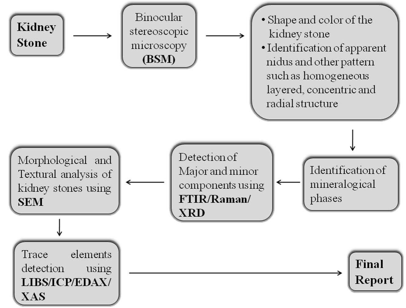 (PDF) Kidney stone analysis techniques and the role of major and trace ...