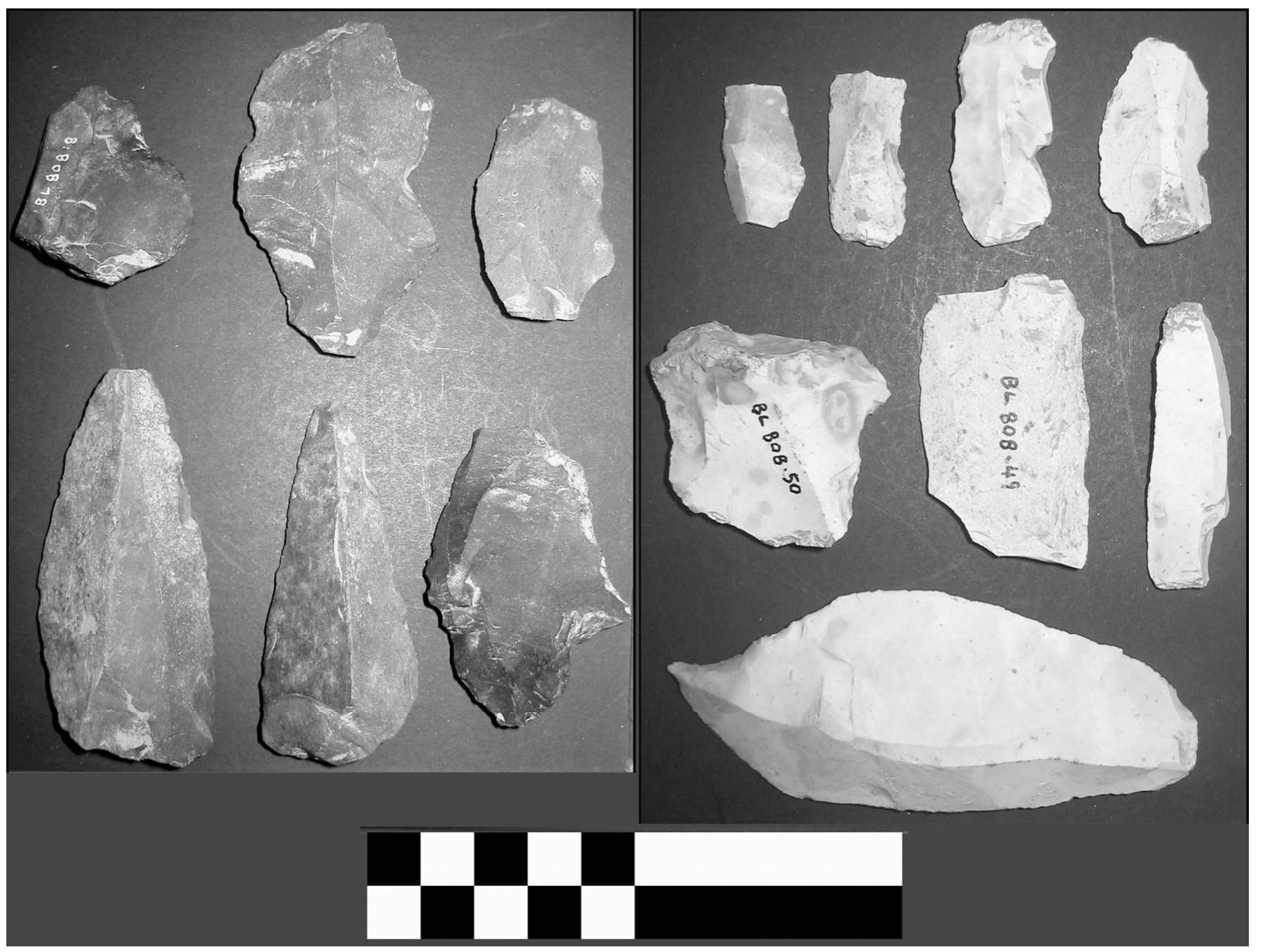 Plate1.Lithic artefacts found at later Mesolithic find locations in the middle Barrow Valley. Left: carboniferous chert objects, most probably of local sources. Top right: flint objects, possibly made from local drift and riverine pebbles. Bottom right: large diagnostic later Mesolithic blade most likely of North-eastern coastal flint 