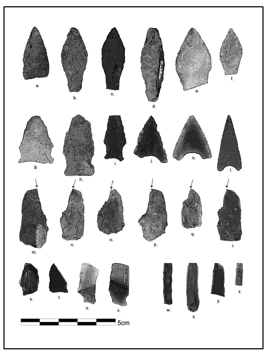 For Caribou, Chert, and Company: Assessing Mobility as Evidence For Cultural Continuity Among the Palaeo- Eskimos of Baffin Island, Arctic Canada. S. Brooke Milne, Robert W. Park & Douglas R. Stenton  Plate 2. Examples of Palaeo-Eskimo lithic tools from sites throughout Nunavut, Canada a-f: Early Palaeo-Eskimo end-blades; g-1: Late Palaeo-Eskimo end blades; m-r: Early Palaeo-Eskimo burins; s-v: Late Palaeo-Eskimo burin-like tools; w-z: Early Palaeo-Eskimo microblades 