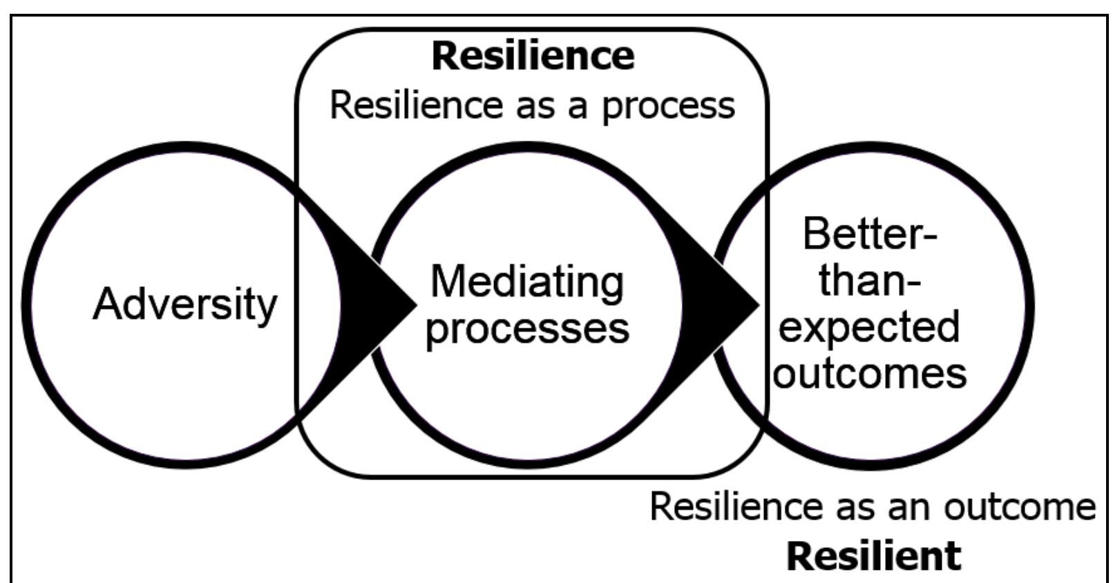 (PDF) Van Breda, A. D. (2018). A critical review of resilience theory ...