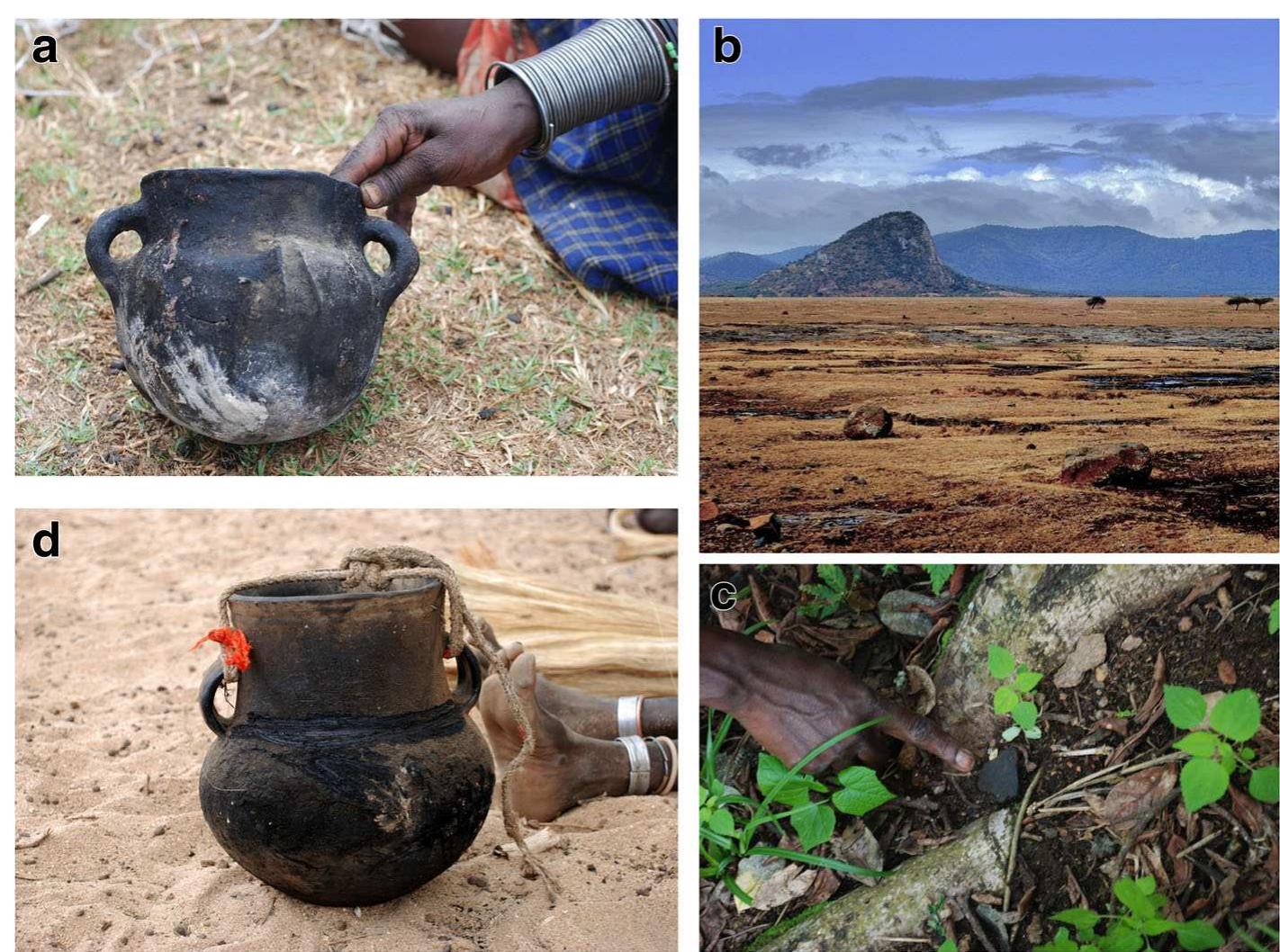 Fig. 2. a Small cooking pot (/kunate) from the Lorroki Plateau. b The Lorroki Plateau with Naiborkeju Hill and the Kirisia Hills in the distance. ¢ A potsherd in situ at the Kikwal rockshelter. d A large cooking pot from the Samburu lowlands 