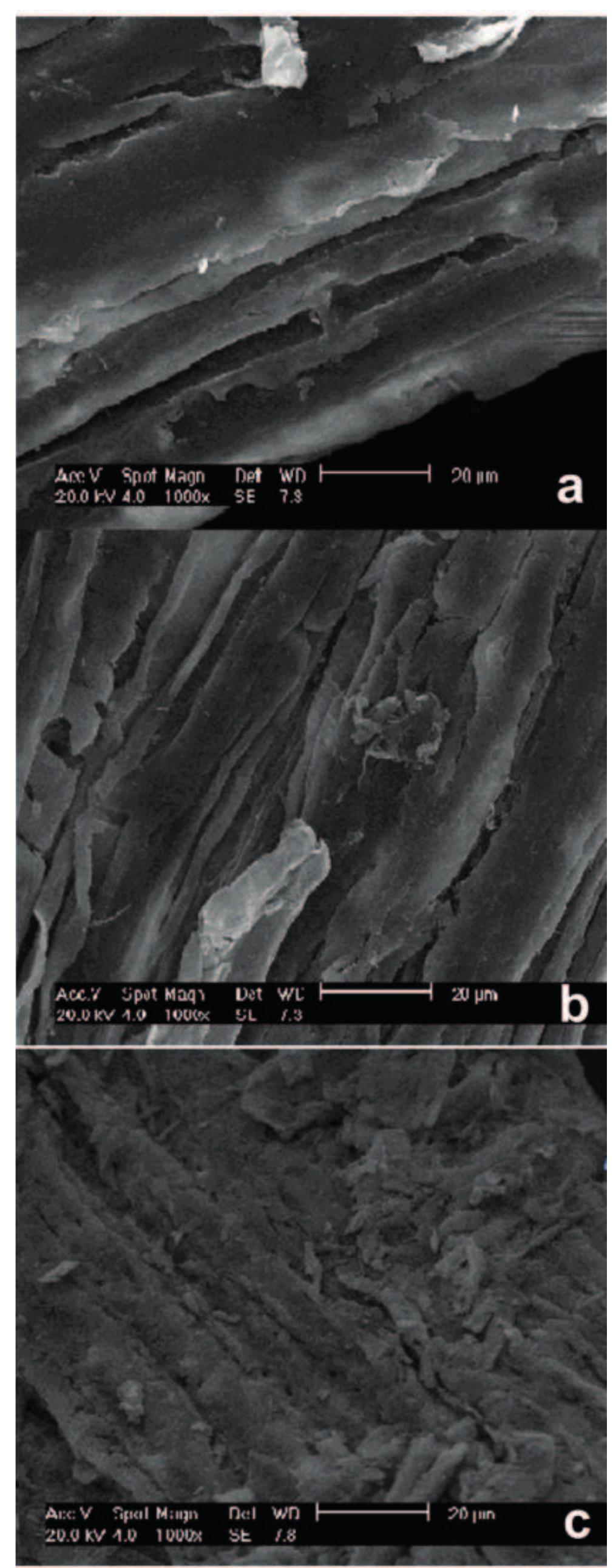 Ftir spectra of the raw biomass (a); and the bagasse treated