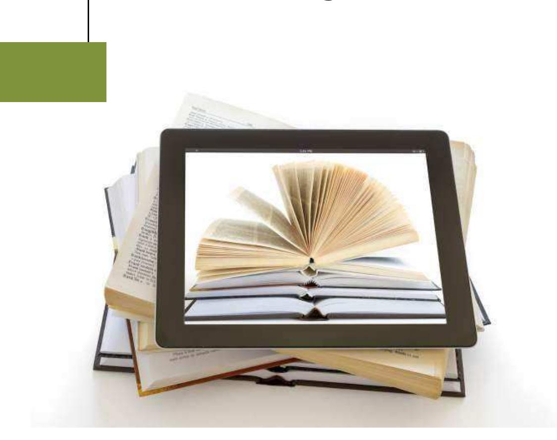 Education's Digital Future 