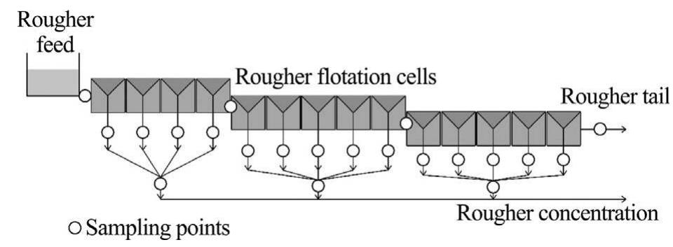 Fig. 2. Arrangement and sampling points in the rougher flotation circuit. 