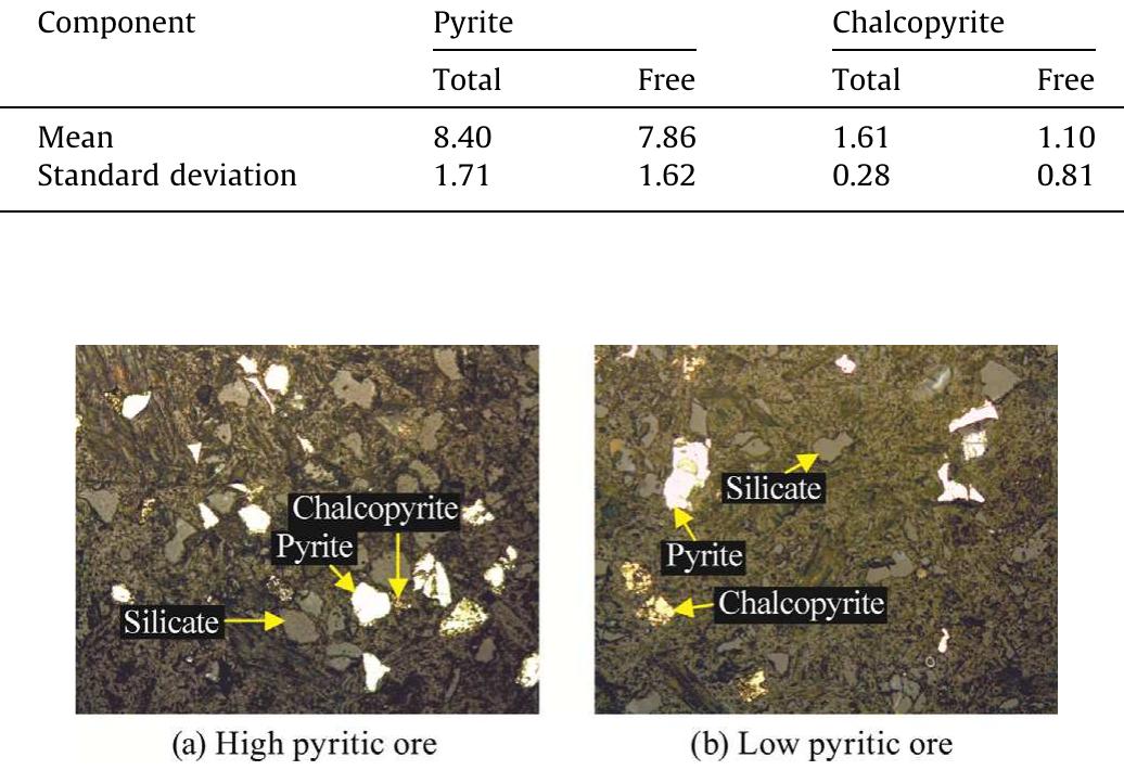 Fig. 4. Photomicrographs of polished sections of feed in two different ore types.  Total and free contribution of chalcopyrite and pyrite minerals within ore (wt.%). 