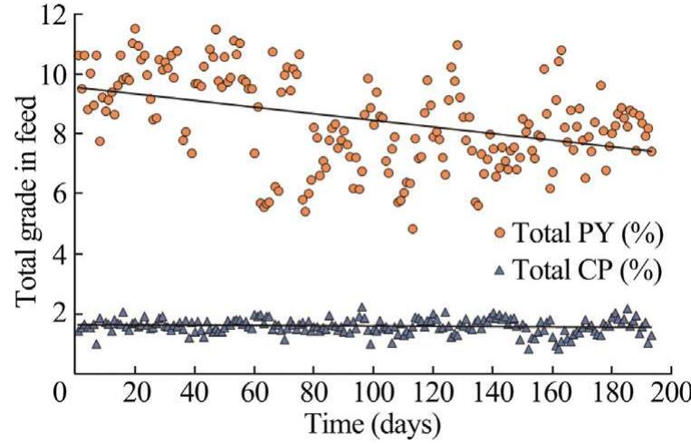 Fig. 3. Variations of weight contribution of chalcopyrite (CP) and pyrite (PY) in the rougher feed from August, 2013 to February, 2014. 