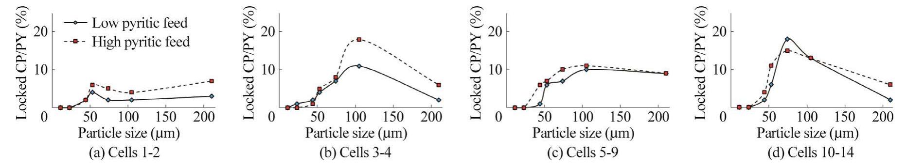 Fig. 5. Amount of locked chalcopyrite-pyrite minerals (CP/PY) in concentrate streams of each rougher cell in various particle size fractions for low and high pyritic feeds.  In the case of the low pyritic ore type, almost for all cells, it can be seen that for particles coarser than 100 um, the amount of the CP/PY locked particles decreases (Fig. 5). In this fraction, the pyrite which is transferred to concentrate is mostly misreported due to either self-induced hydrophobicity (composition of sulfur and poly-sulfur ligands), or collector-induced hydrophobicity (after surface activation by copper ions) and collectorless floatability (with regard to interaction of hydrophobic molybdenite with pyr-  Fig. 7 shows the liberated chalcopyrite particles recovered through the process versus particle size fractions. It is clear that floated free chalcopyrite in first cells is the highest which decreases in further cells. In terms of particle size, proportion of chalcopyrite in size fraction below 50 um is considerably high throughout the whole process. It should be noted that the feed type has almost no effect on the flotation of free chalcopyrite. Considering Figs. 5- 7, it can be concluded that, main part of free chalcopyrite is floated in first cells (1-4). In the middle cells (5-10) notable amount of chalcopyrite in concentrate appears as CP/PY particles. Eventually, in the final cells (10-14), floated portion is mostly CP/G locked par- ticles. According to mineralogical analyses, it is revealed that for he size fraction below 53.um, quantity of the locked halcopyrite-pyrite particles is greater than the chalcopyrite- angue locked particles. Nevertheless, with increasing particle size ver 53 um, CP/G proportion becomes fairly greater than CP/PY. he trend of gangue minerals rejection with maximizing the size reduction and reducing the size from 53 lum to 38 pm is in good agreement with previous research [28]. Foregoing studies sug- gested that in order to decrease the amount of misreported CP/G, flotation can be carried out in lower pulp density (below 28 wt.  domad 