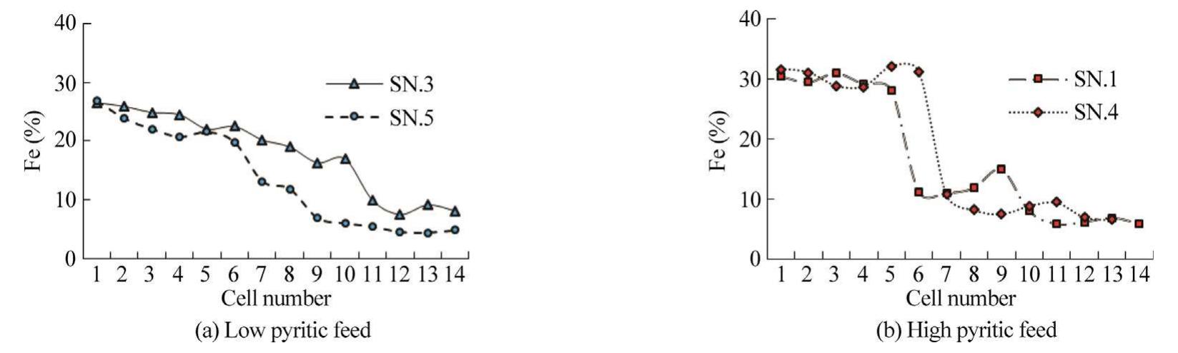 Fig. 11. Variation of iron (Fe) content in concentration stream of rougher flotation cells.  Another important gangue mineral in the process is silicate. Content of chalcopyrite locked with silicate minerals (CP/G) is increased in plant feed and consequently in flotation concentrate with regard to increasing depth of mine pit in recent years. As seen in Fig. 14, by enhancing cell number, SiOz content ascends gradu- ally showing that considerable amount of gangue minerals are misreported to concentrates through final cells. There are some known mechanisms which can describe flotation of gangue miner- als as follows: hydraulic entrainment (i.e., carry-over in the wake  Fig. 13 shows the iron (Fe) recovery in rougher stage versus size fractions for both low and high pyritic feeds. There are two peaks of greater iron content for two different size fractions in both feed types. Since the size fraction below 44 um in concentrate is found to be liberated without being locked with CP/PY particles (Fig. 9), the higher iron content below this size can be due to the flotation of free pyrite particles as a result of copper activation and/or entrainment phenomena, which is not too much different for two feed types as expected. Whereas, in the case of coarse particles, it can be in connection with the presence of locked CP/PY particles. As discussed earlier in Fig. 9, CP/PY particles in concentrate for both feed types appear to increase above 44 um which is greater for the high pyritic ore as can be seen in Fig. 13 as well. 