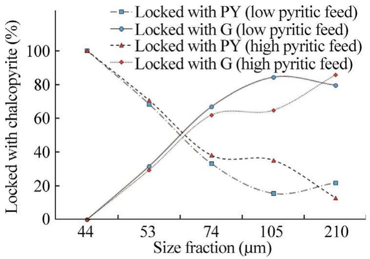 Fig. 15. Configuration of chalcopyrite locked particles versus size fraction for two feed types. 