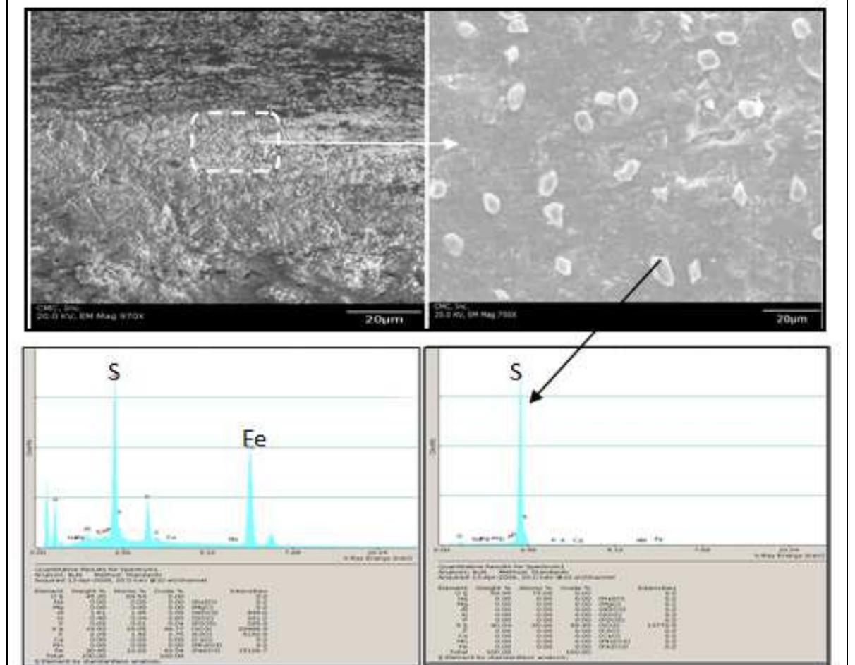 Figure 6 - from CONCRETE DETERIORATION FROM PYRITE STAINING,