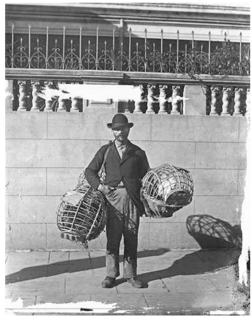 Buenos Aires, 1910 Centenary of the Nation, Fig. 2 Harry Olds, The Chicken Seller. Buenos Aires, 1901. (Source: Archivo General de la Nacion)  share of sordid and dirty beings,” doesn’t have, in Buenos Aires, a single poor aspect (268). In this way the oligarchic urban experience according to which the poor did not walk the street is created on the literary level. If they existed, they lived in delimited territories; obscure zones, like the com- pact poverty Scobie describes; or the banks of the river to which the journalist went in search of a more wretched spectacle, as if he were going to the circus to admire animals between bars. 
