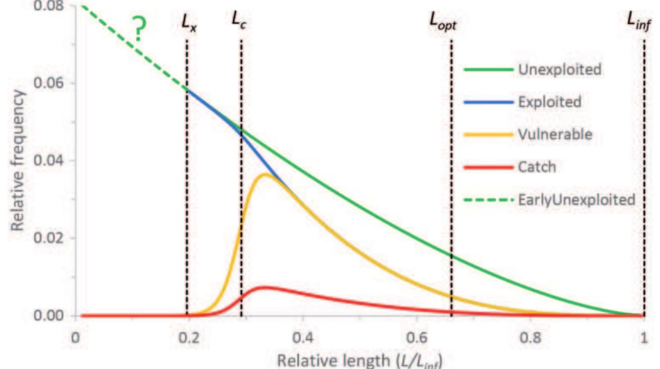 Figure 1. Conceptual framework for the analysis of length frequency data from the commercial fishery, here modelled with life history traits of Atlantic cod (Gadus morhua). The upper curve shows the decline in cohort numbers without fishing, with a question mark indicating that mortality and thus numbers of individuals not yet vulnerable to the gear are unknown and not relevant for the method. The curve descending from L, shows the decline with fishing, the upper humped curve shows the fish vulnerable to the gear, and the lower humped curve is the catch in numbers resulting from a given fishing effort. The vertical dashed lines indicate the length (L,) where fish become vulnerable to the gear, the length (L_) where 50% of the individuals are retained by the gear, the length (L,,.) where the unexploited cohort  would have maximum biomass, and the asymptotic length (Ling). 