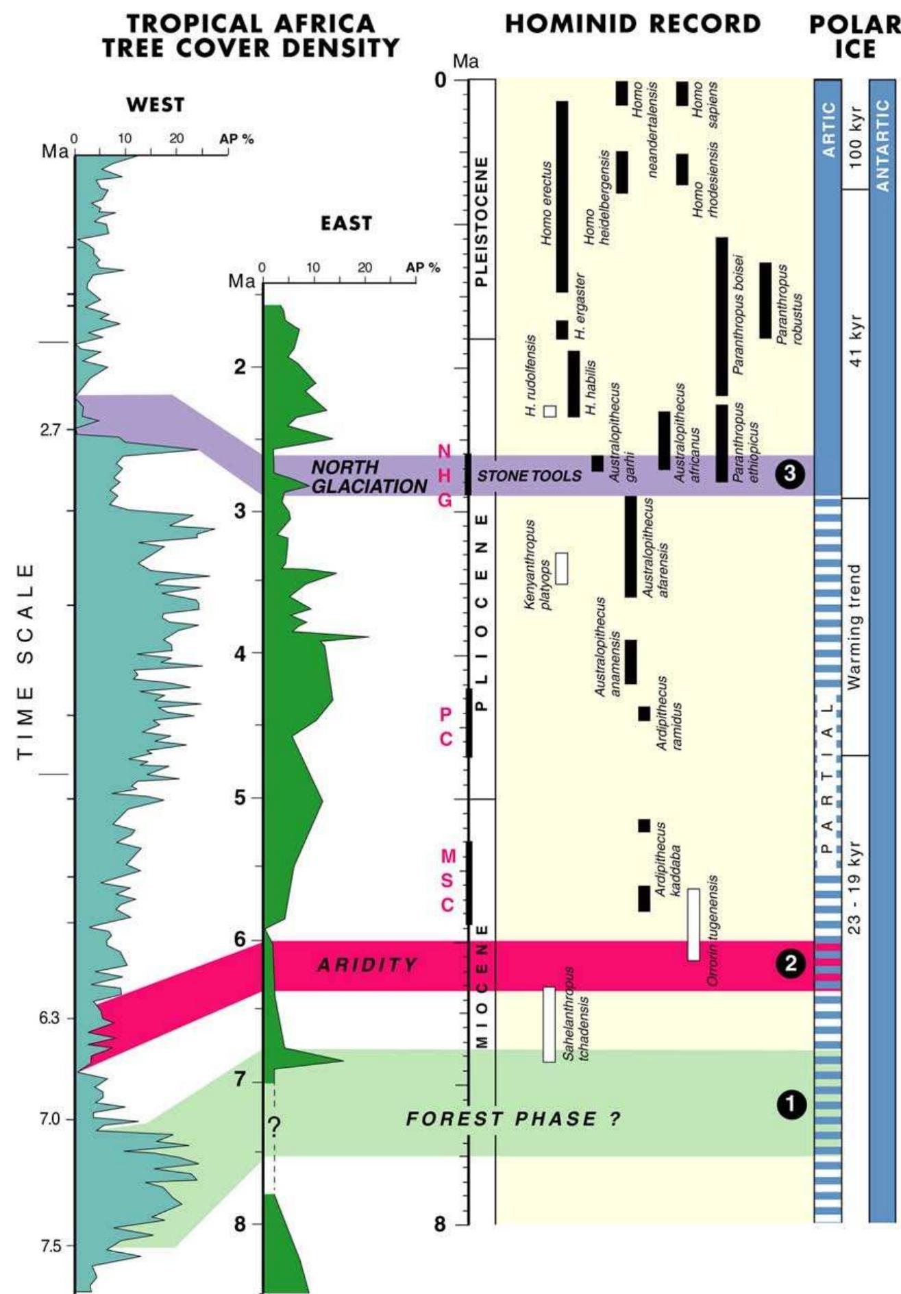 (PDF) Cenozoic vegetation, climate changes and hominid evolution in ...