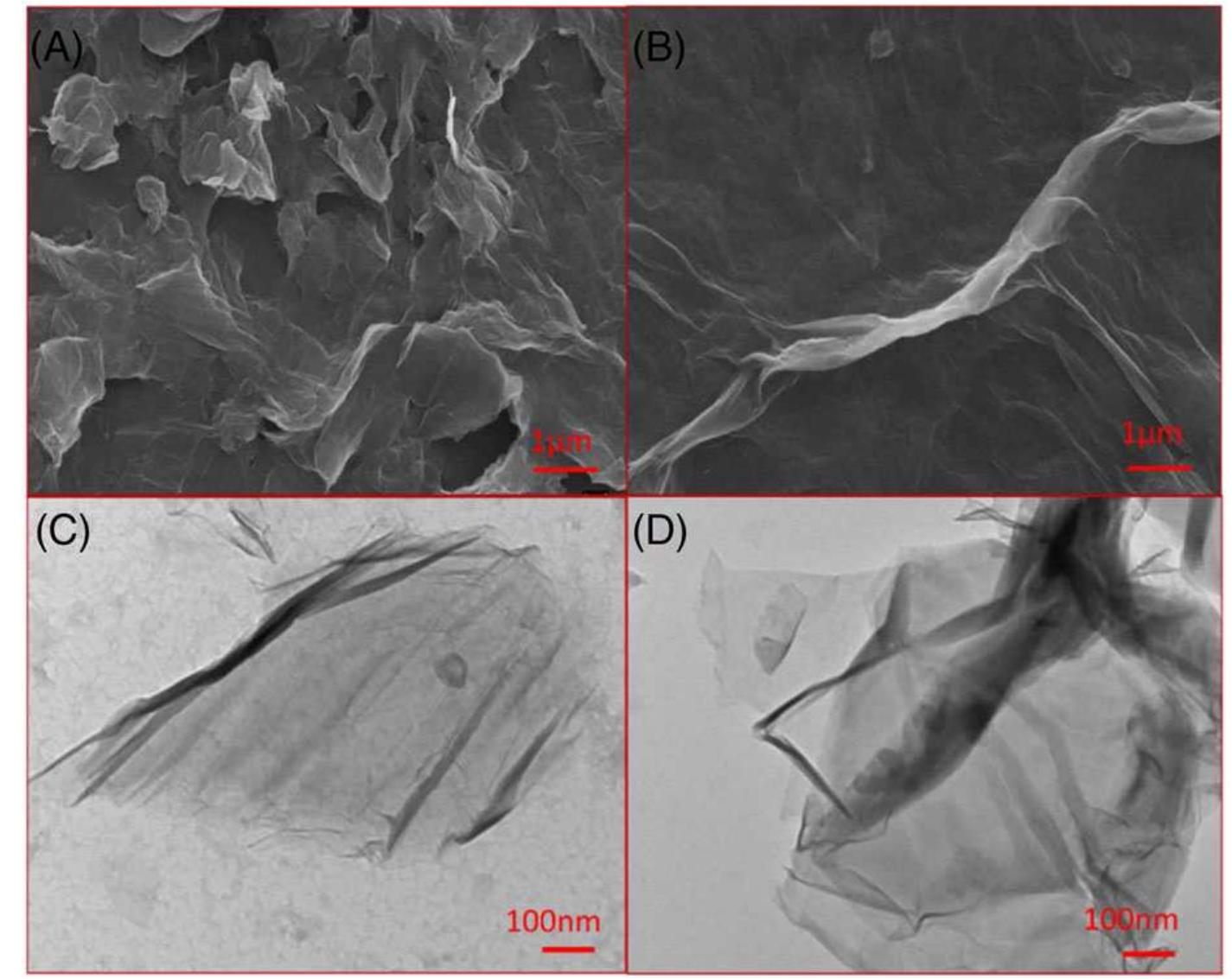 (a, b) scanning electron microscopy images and (c, d)