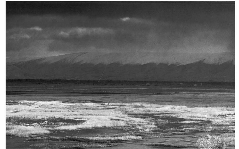 Fig. 3- View facing east showing the wetlands of ‘Ammiq in ‘winter 2004-2005 (Beaudenon 2005, 234).  Fig. 2- View facing east showing the floods in central Biqa‘ in February 1947 and the lacustrine village of Tall al-Akhdar in the background (Abd-EI-Al 1948, PI. XXV).  A. Wetlands boundaries: Literature review 