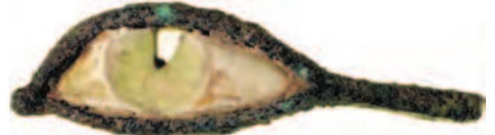 Figure 12.8 Bronze eye with glass inlay from an Egyptian wooden anthropomorphic coffin from the cemetery of Naukratis; Late Period or Ptolemaic. Dundee, McManus Galleries, 1975-100. (Photo: F. Leclére, The British Museum © Dundee Art Galleries and Museums.) 