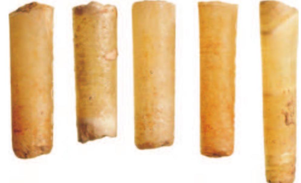 Figure 12.11 Drill cores from calcite alabastra found in the sanctuary of Apollo at Naukratis, probably sixth century BC. Edinburgh, National Museum of Scotland, A.1886.518.27. (Photo: © National Museums Scotland.) 