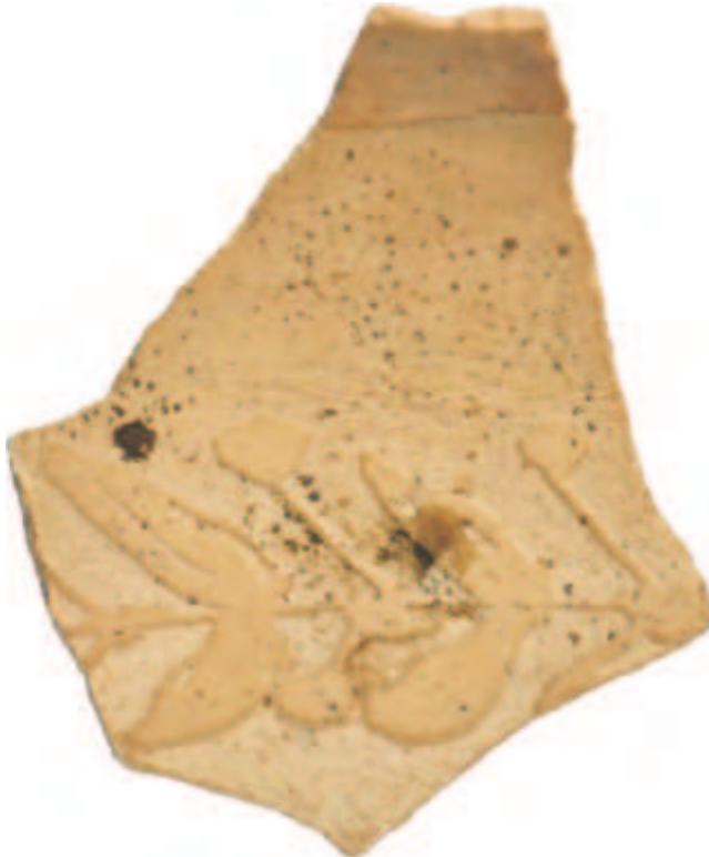 Figure 12.13 Fragment of carved ostrich shell, from the ‘drill core layer’ associated with the second temple of Apollo. BM 1886,0401.1600. (Photo: © Trustees of the British Museum.) 