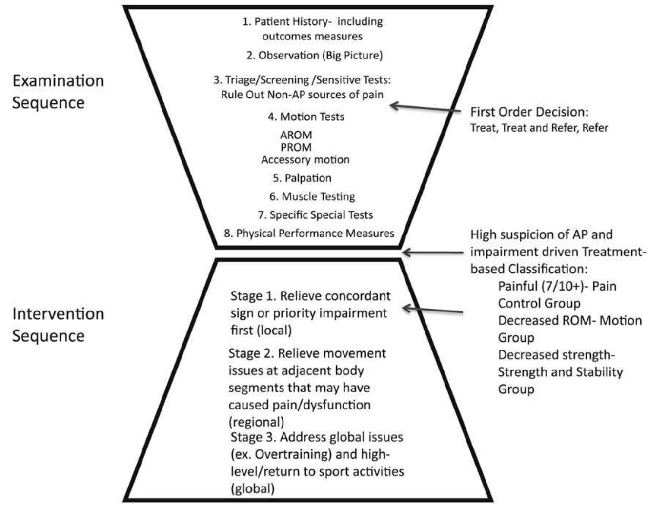 Fig. 1. A proposed paradigm for examination and treatment of patients with athletic pubalgia (AP). 