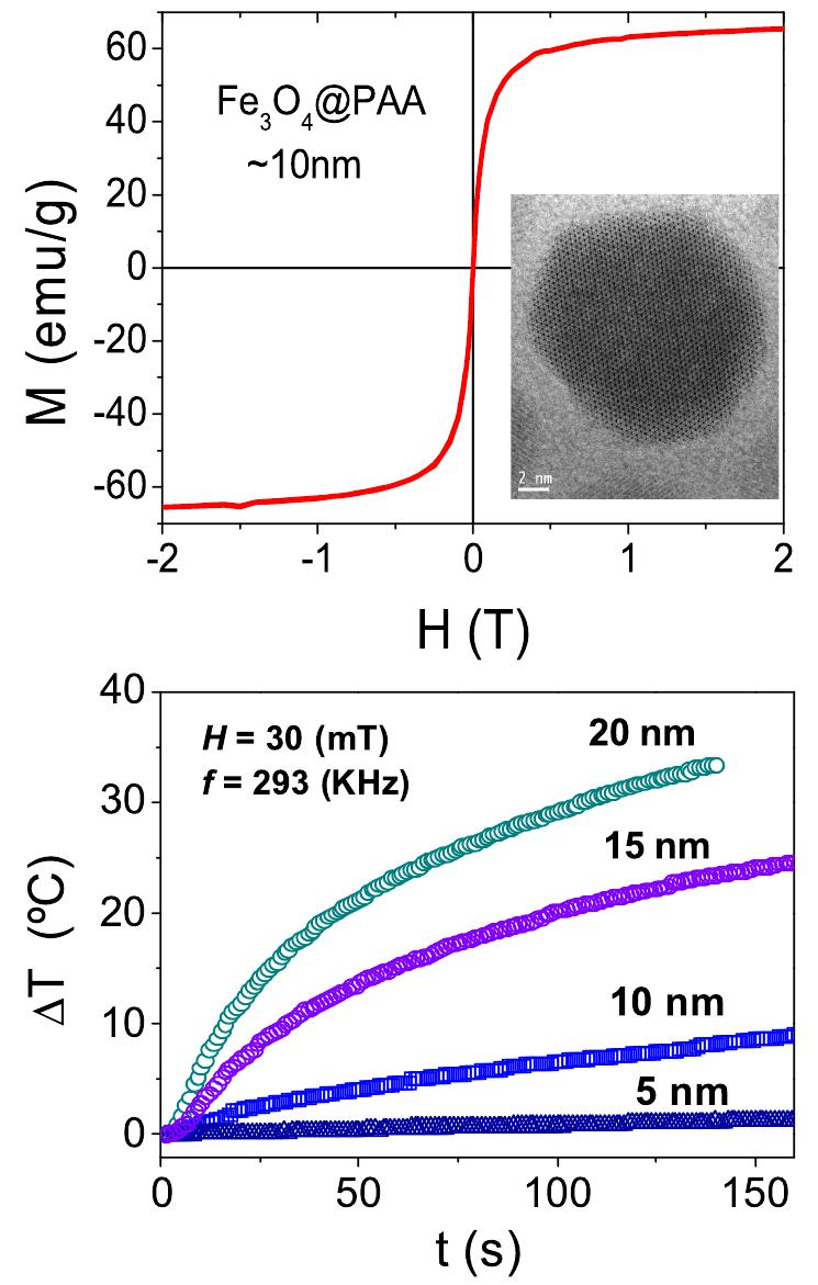 Top: spm curve of fe304@paa mnps. inset shows a tem image of