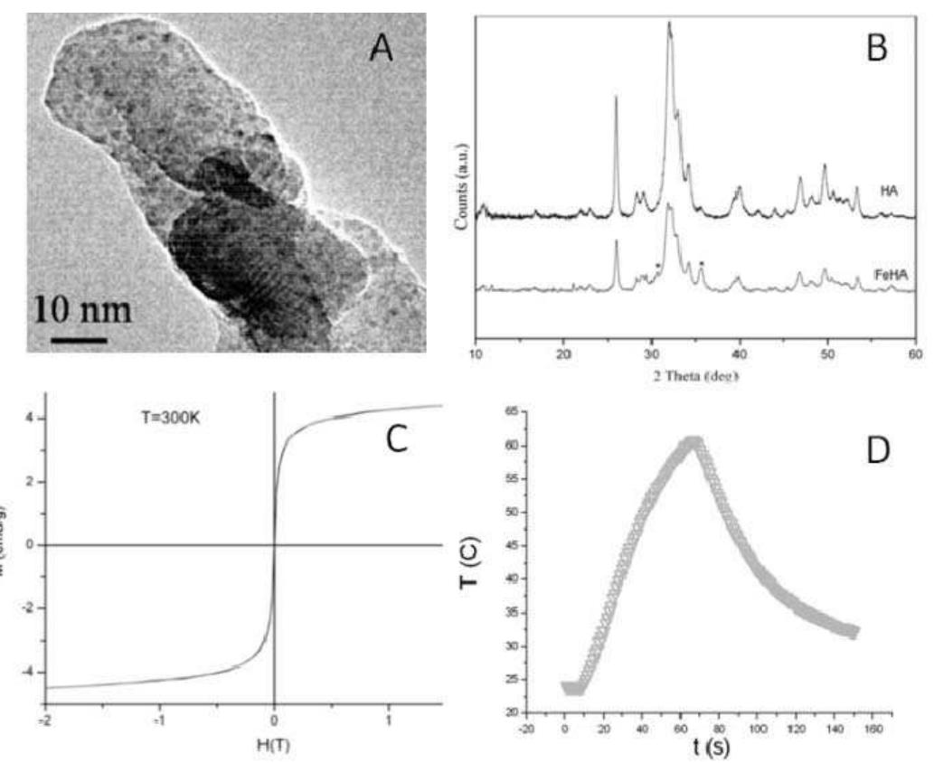 Top: spm curve of fe304@paa mnps. inset shows a tem image of