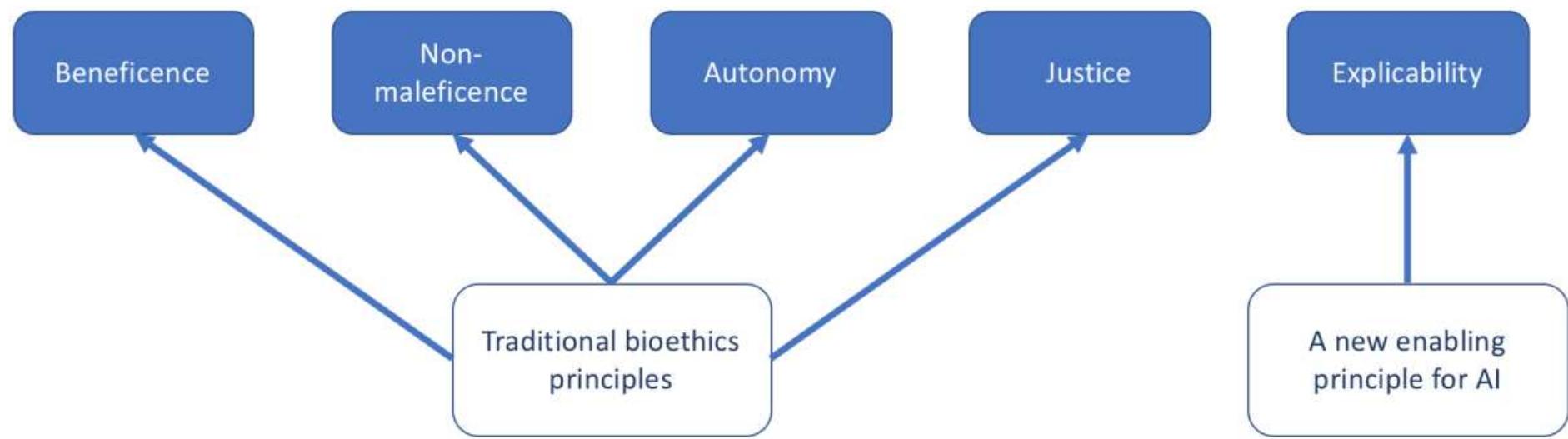 (PDF) Prolegomena to a White Paper on an Ethical Framework for a Good ...