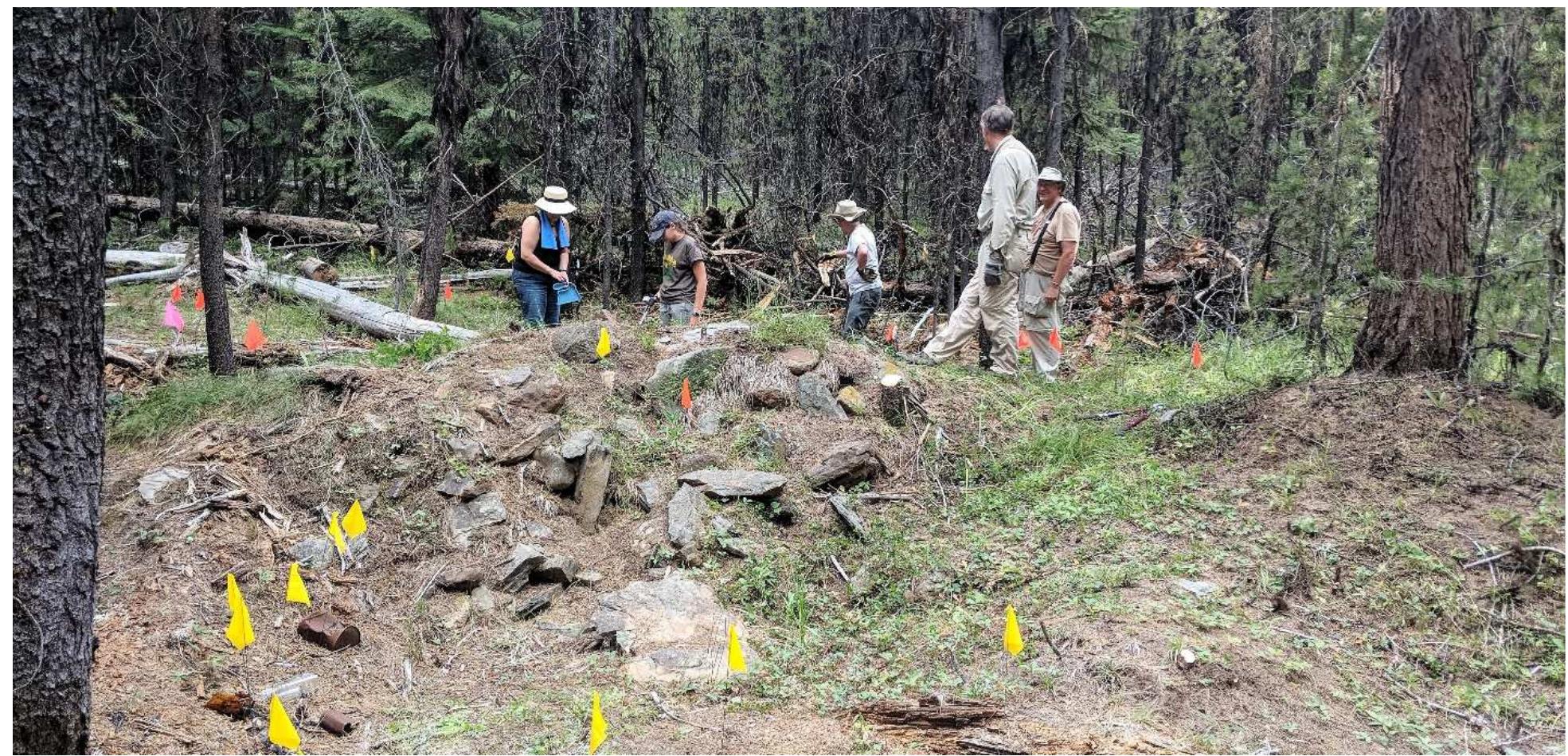 Figure 9. Metal detector survey around the dry stacked stone feature that forms one wall of the main structure at Happy Cam 3.  This site consists of the remains of one relatively substantial structure and likely included 2-3 additional ephemeral structures which did not leave an identifiable footprint (their presumed presence is based on the artifact scatter). The site is located near the outlet of the tail races from several large placer cuts. The mining features are documented separately as site 06040301206- the Happy Camp Placer Mine. The main structure was originally documented in the 1980s when two courses of logs were still visible and  several artifacts of Chinese origin were described. Significant impacts from looting were noted at that time. 