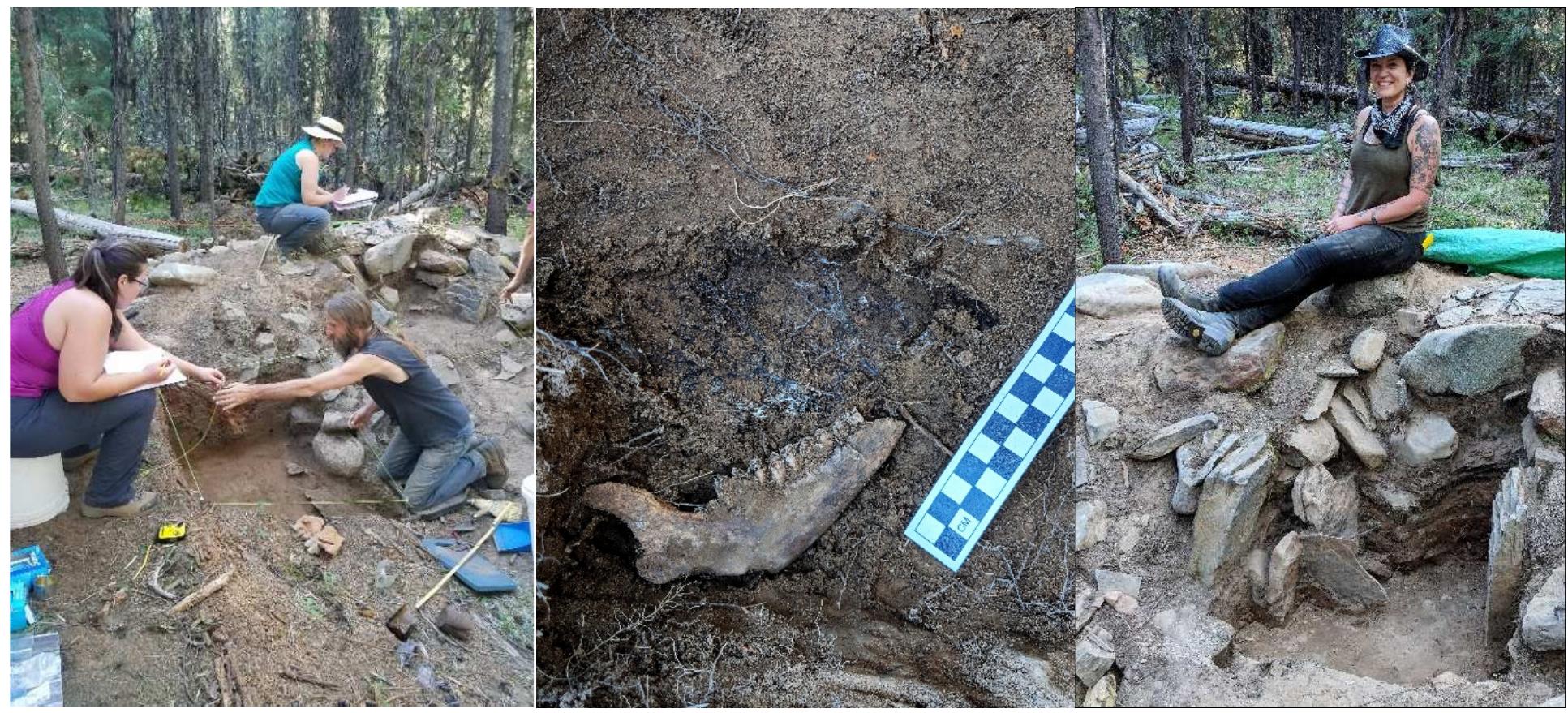 Figure 10. Test excavations at stacked rock feature, center photo shows a medium sized mammal mandible (likely sheep)  The 2018 fieldwork included clearing the main structure area and the stacked stone feature of brush and small trees. We conducted a metal detector survey to pinpoint subsurface concentrations of metal and completed a surface survey to identify and map diagnostic artifacts. We numbered and removed stones that had clearly collapsed in front of the stone feature and began removing forest litter and soil from between two large basalt slabs that were set upright in the feature. We encountered metal, ceramic and  bone fragments while clearing the feature and decided to place a formal 1x1 test excavation unit in this location. 