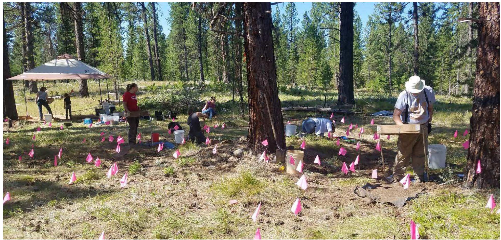 Figure 13. The crew conducted site testing by excavating a grid of 50cmX50cm test units across the Ah Yee site. 