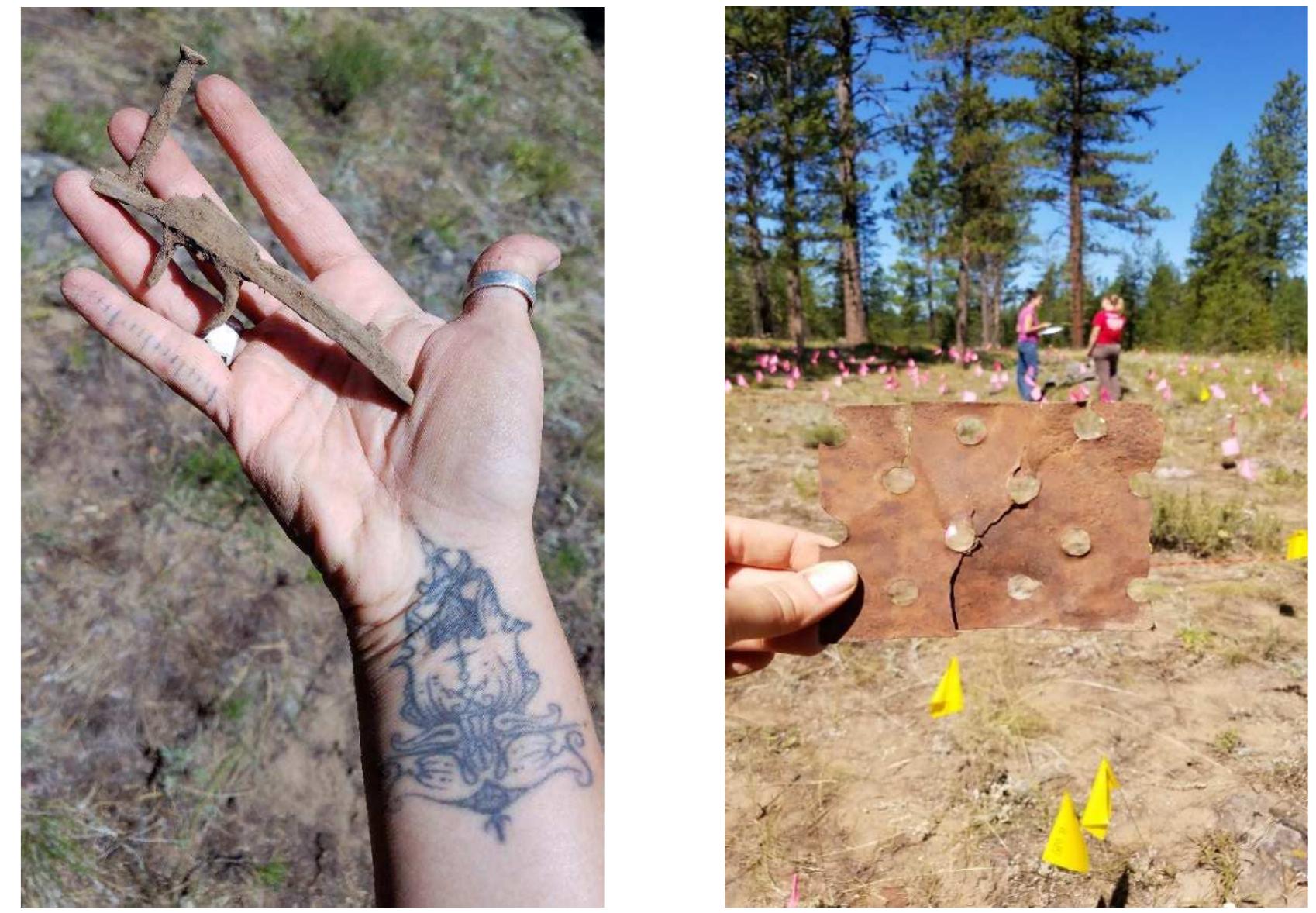 Figure 14. Artifacts recovered from Ah Yee site include (left) trigger mechanism from a percussion cap rifle and (right) hand perforated metal sheet likely used to patch a grizzly (part of a sluice box).  about the activities occurring within the site area.  As less was known about the condition and extent of the site, an archaeological testing strategy was used in order to identify key areas of subsurface deposits across the site that may aid in the interpretation of the two rock features. A grid of 50cm by 50cm units was excavated across the core of the site at 5m intervals, which led to the recovery of several interesting artifacts and some information about the activities occurring within the site area. 