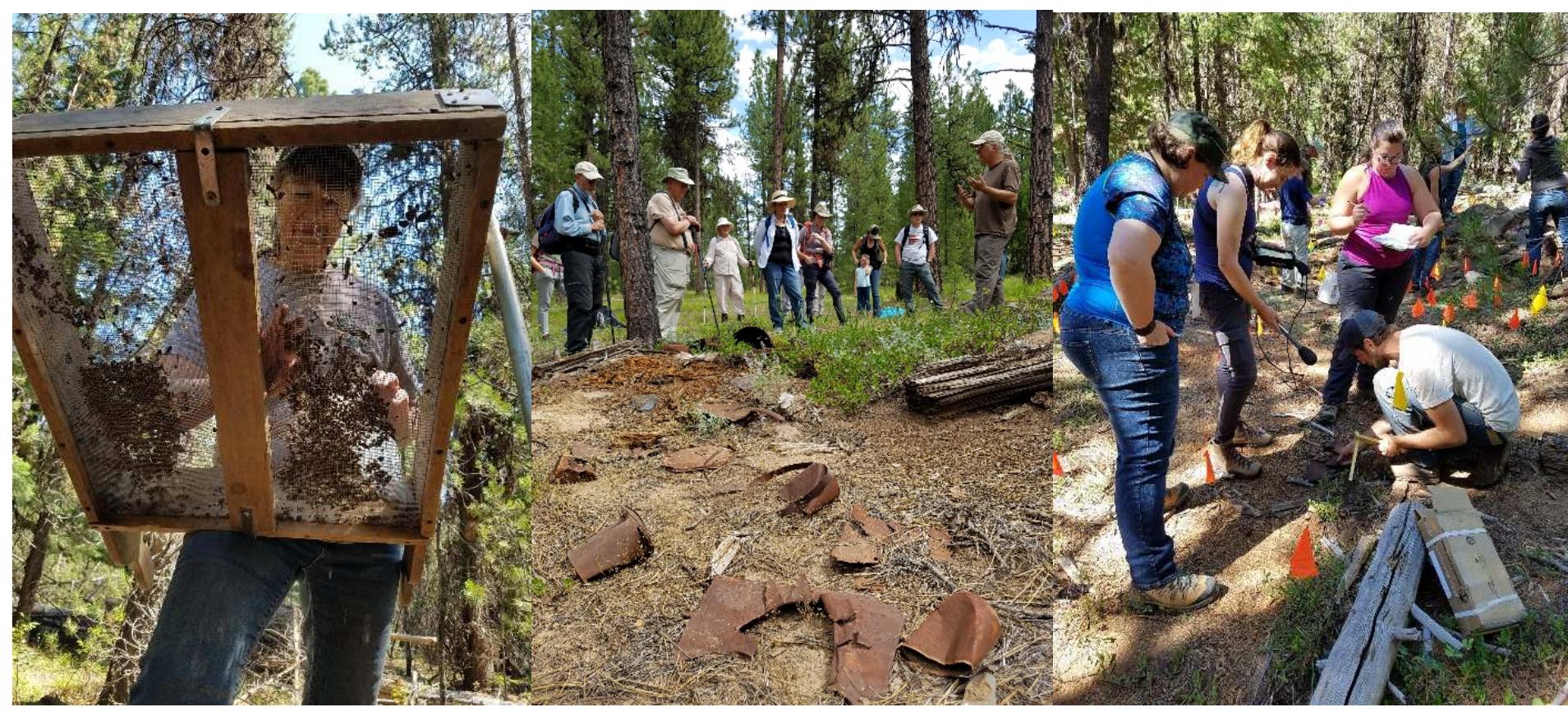 Thank Y ou Volunteers and Partners!  Volunteers: Lukas Aberle, Scott Bowen, Diane Browning, Jacque Chung, Beverley Clement, George Collier, Jane Collier, Kyle Crebbin, Jim Fitzgerald, Kimberli Fitzgerald, Eric Gleason, Eric Hanson, Katie Karman, Al Newnam, Doug Reynolds, David Root, Erin Ross, Bob Shive, and Emily Williamson 