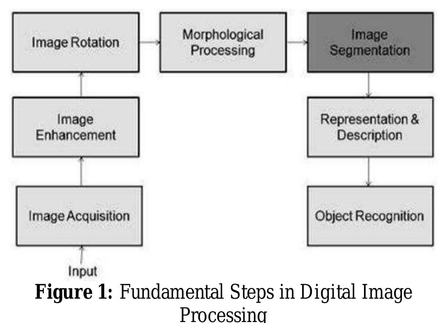 (PDF) Segmentation Based Denoising of Color Images using Morphological ...