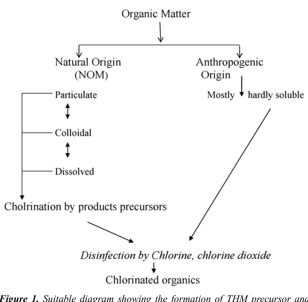 formation and acute toxicity on Daphnia magna of chlorinated raw and treated samples. Optimum alum dose for TOC removal was observed to be 40 mg/L for OM while 80 mg/L of alum presented the lowest total THM formation potential. Pre-ozonation improved the reduction of TOC and decrease of total THM formation potential when it was employed in fusion with both coagulants. Raw and treated samples mentioned acute toxicity on Daphnia magna in various fashion and practically “no dose-response behavior” was detected. 