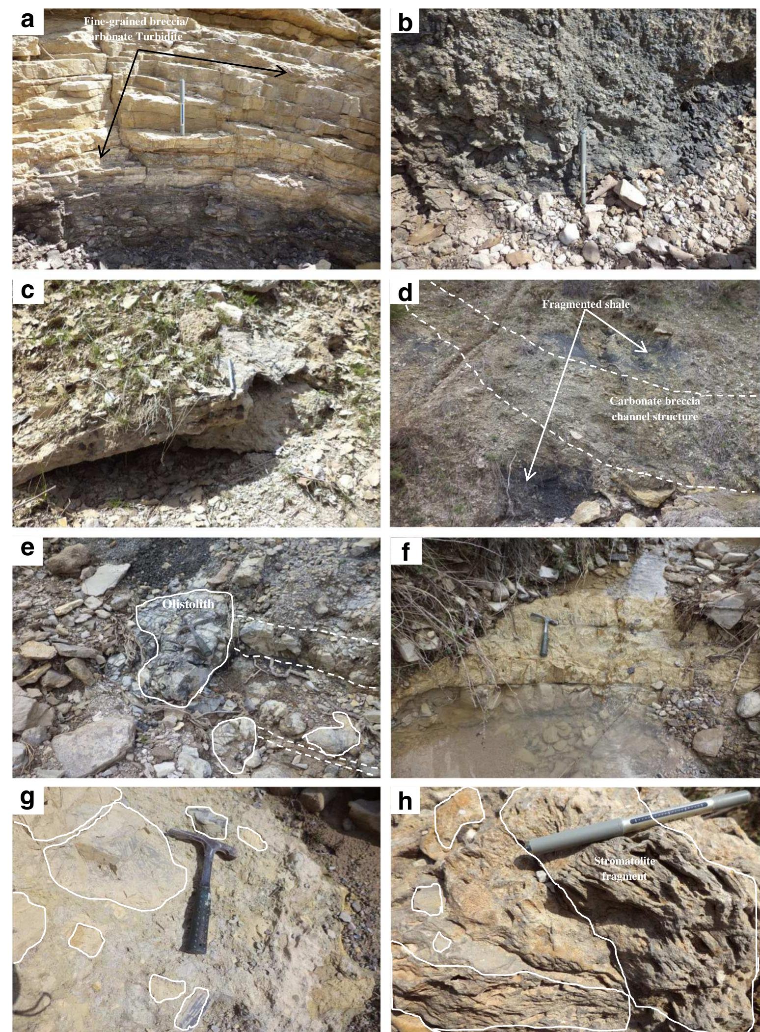 Plate 2 field photographs show different facies types in the