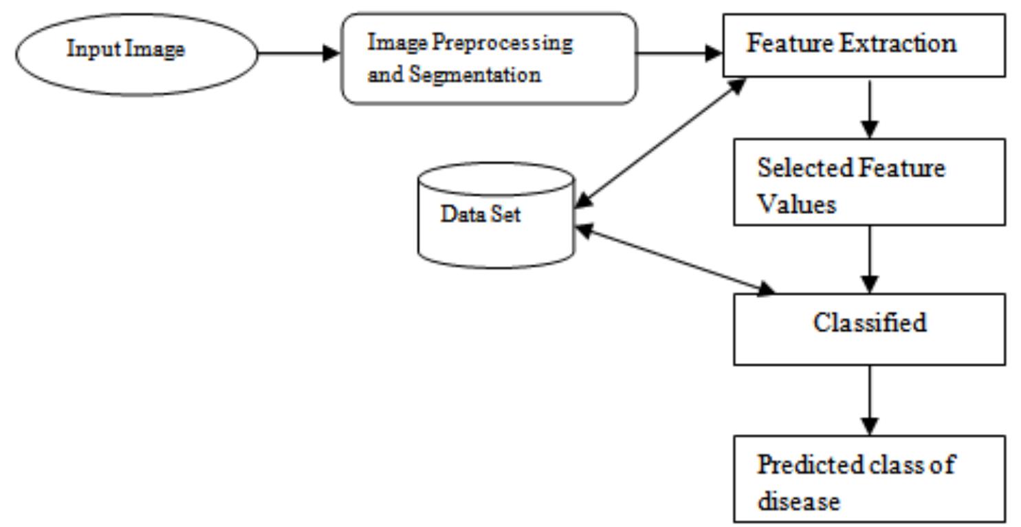 (PDF) A Review: Rose Plant Disease Detection Using Image Processing