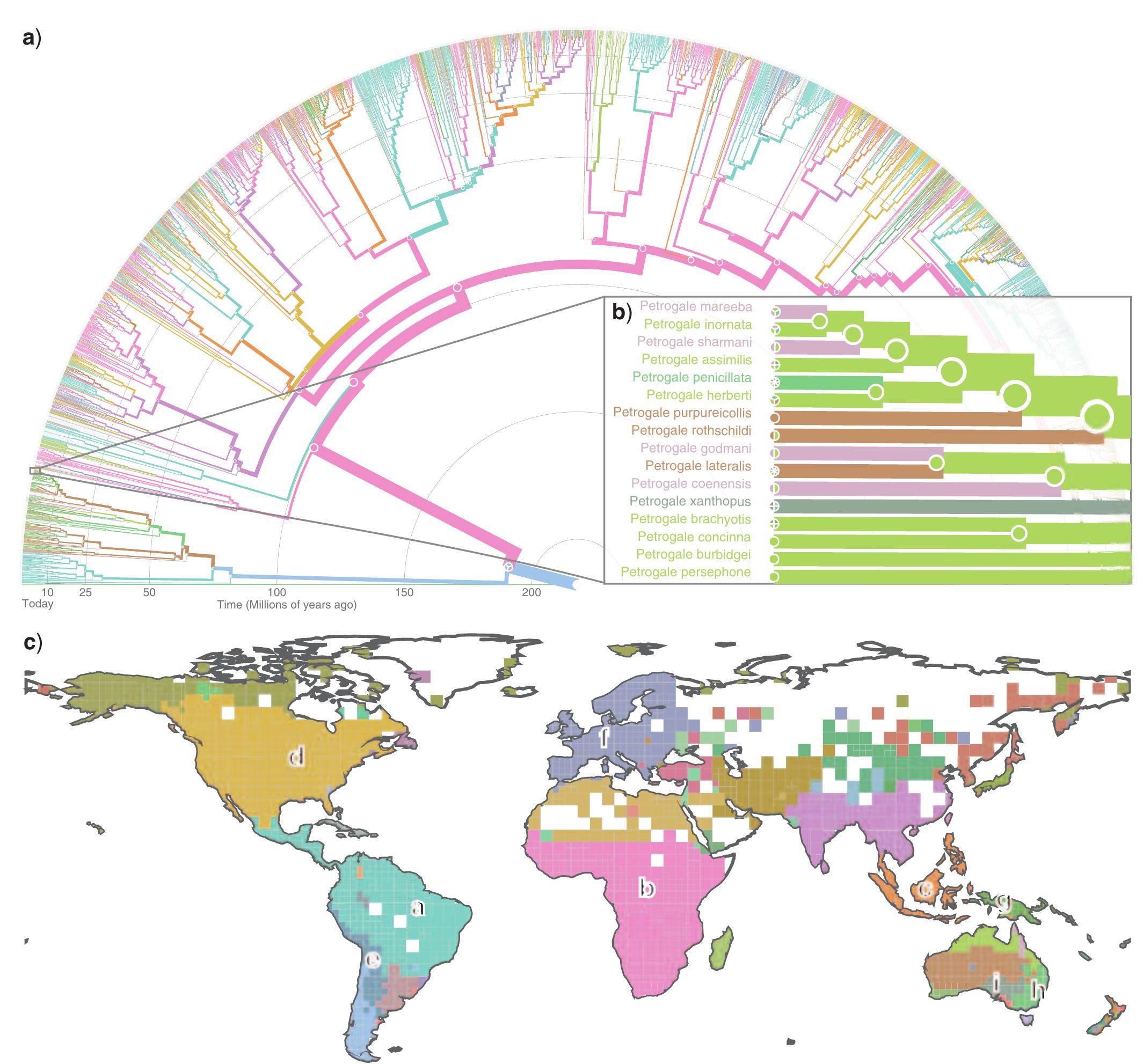 (PDF) Infomap Bioregions: Interactive mapping of biogeographical ...