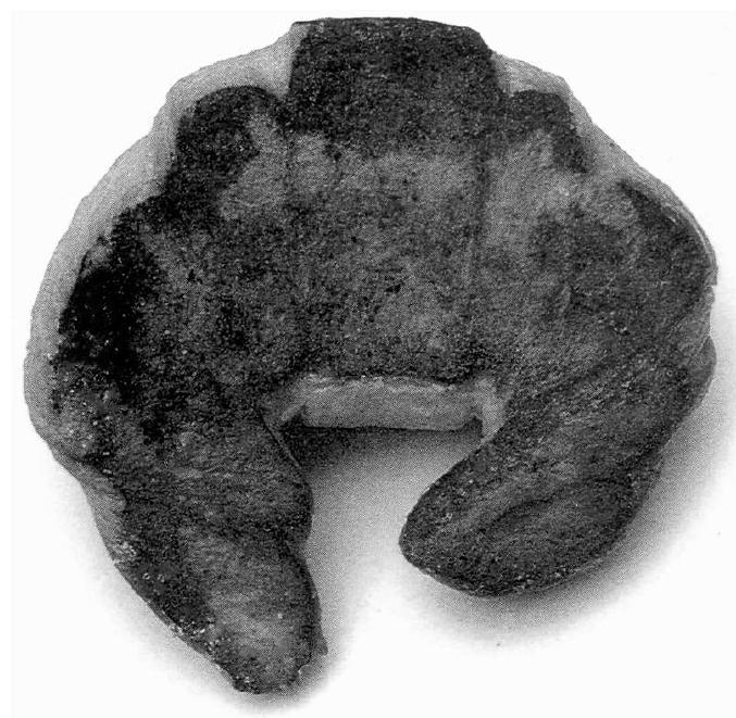 Figure 1 - from Enric Miralles' Architectural Pieces: Three