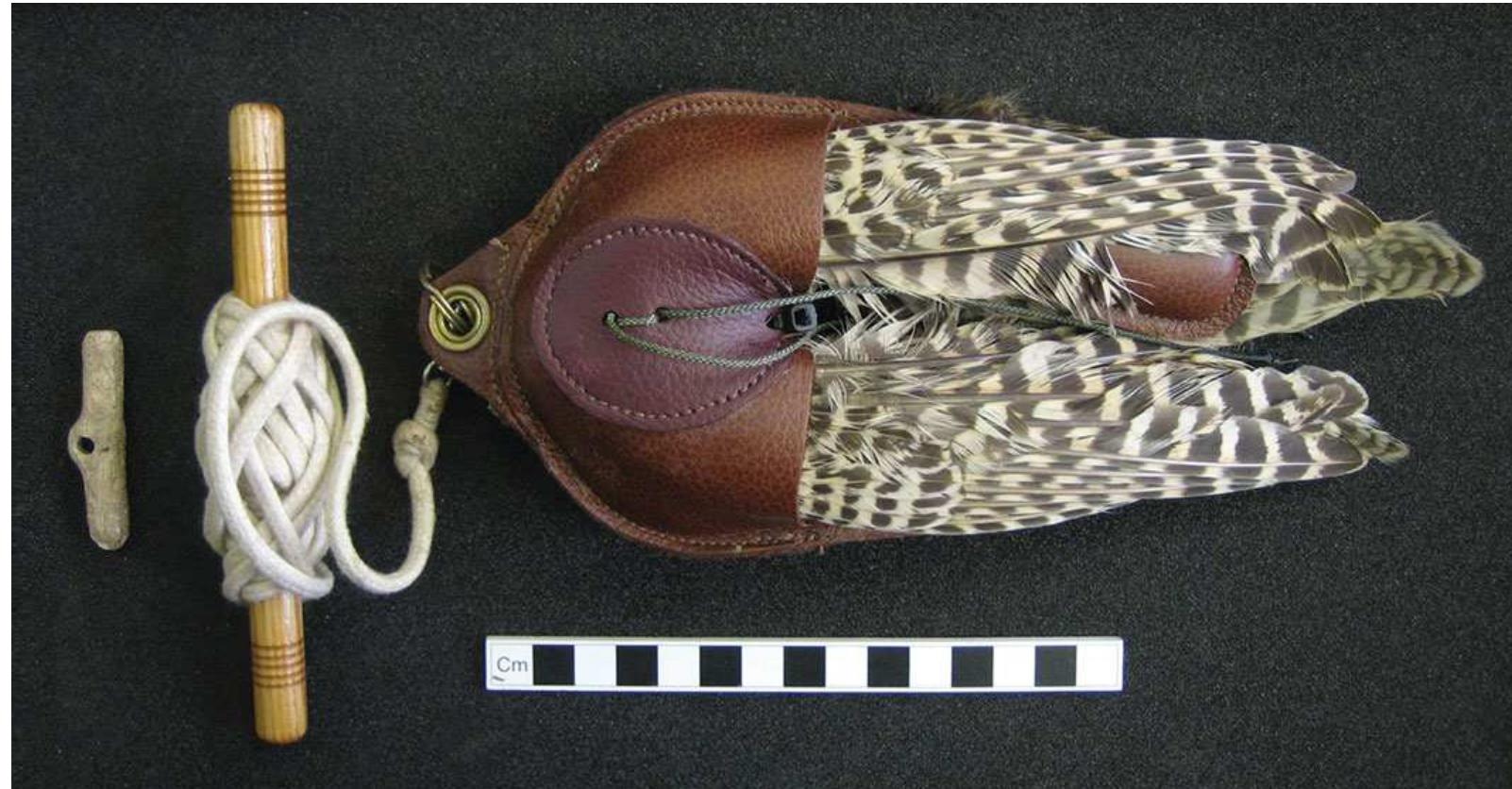 Figure 5. Side-looped bone toggle (length 53mm, diameter 14mm max. at loop) from Kelleythorpe (Driffield, East Yorkshire), c. 1600-1300 BC, juxtaposed with a falconer’s swing lure showing the minimum dimensions of the handle (length 150mm, width 12mm). Photo by author. ©The Trustees of the British Museum. 