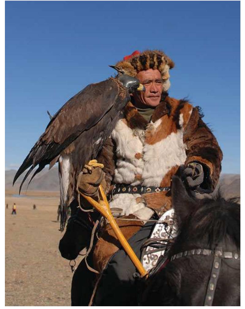 Figure 6. Mounted falconer using a brace to support the weight of his charge at The Golden Eagle Festival 2012, Bayan-Olgii Province, western Mongolia. Courtesy of Takuya Soma. 