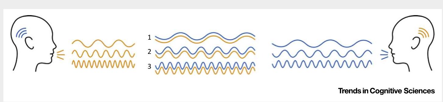 (PDF) The Evolution of Rhythm Processing
