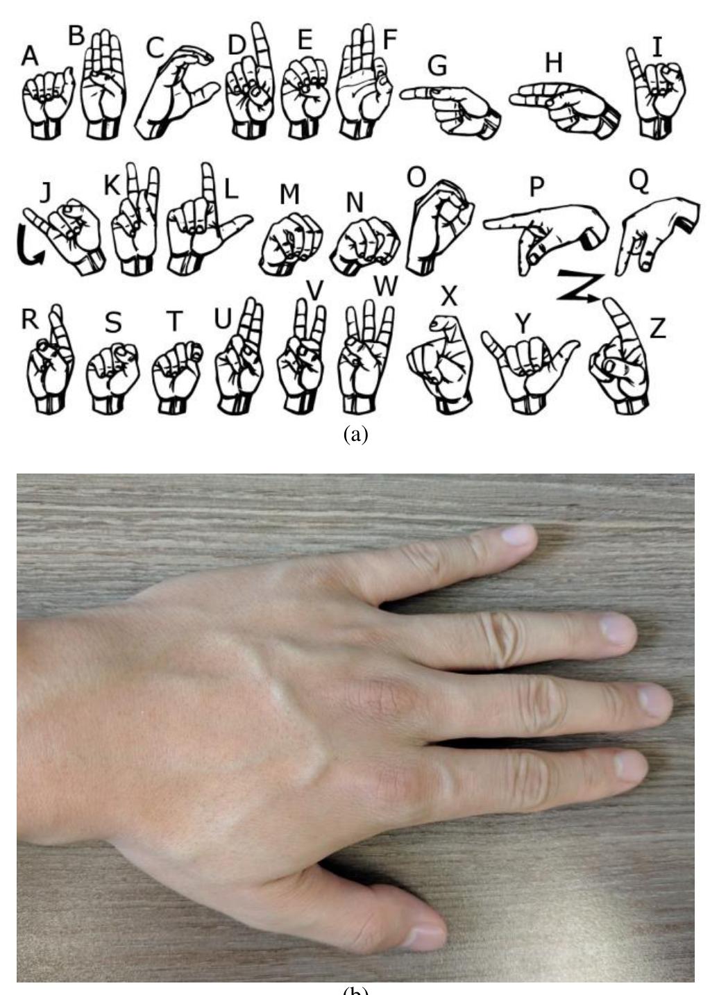 Palm Scratch Sign Language (PDF) Hand Device for Sign Language