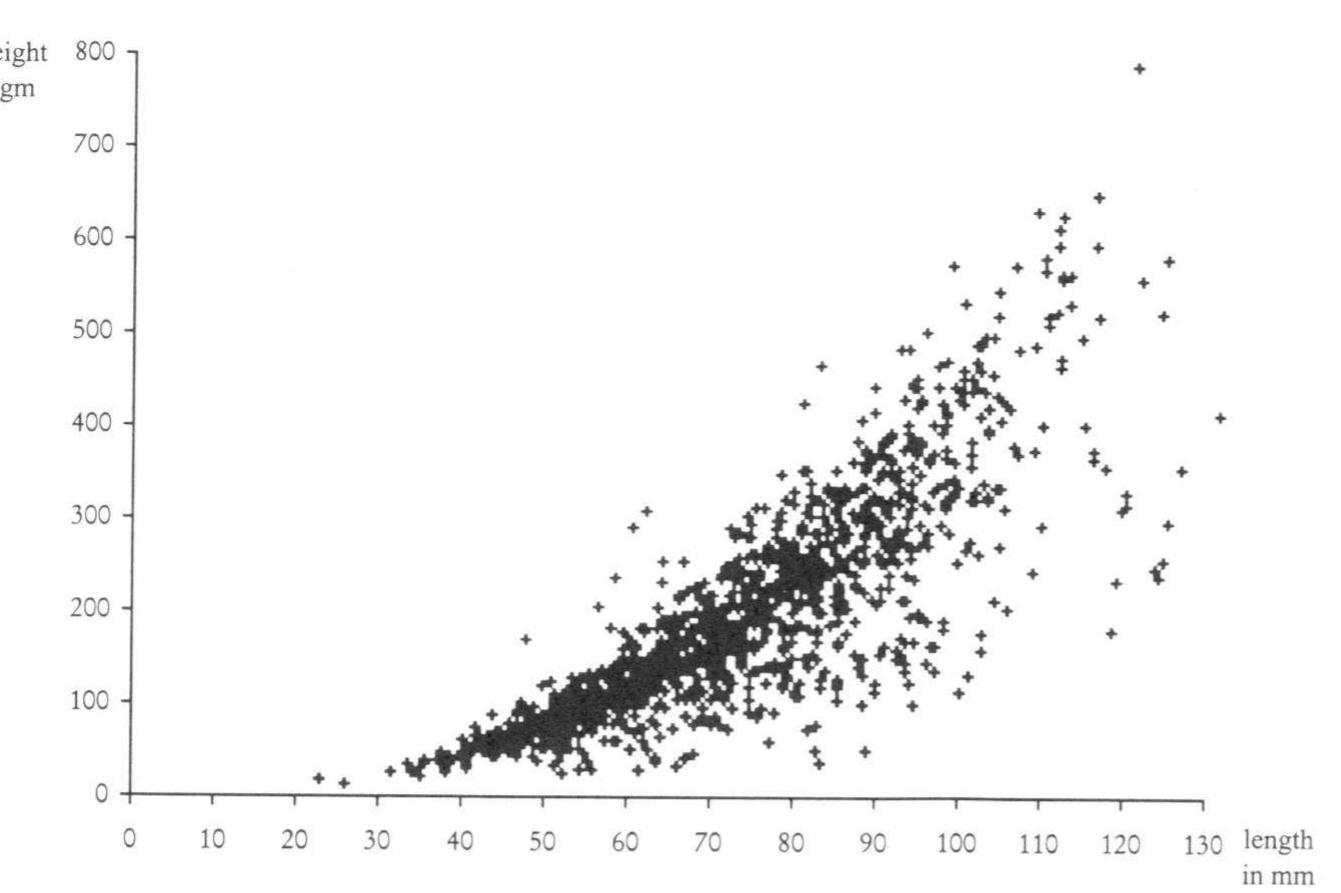Scatter Diagram Ranging Scatter diagram of the weight of the axes and their length