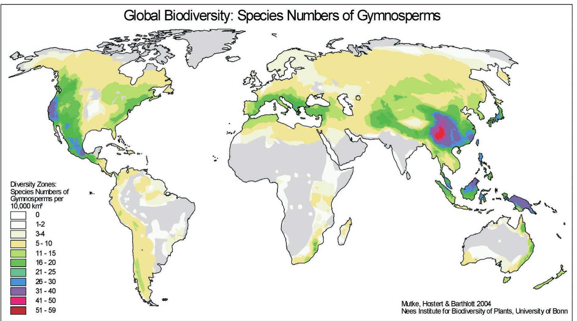 World map of species richness of vascular plants after